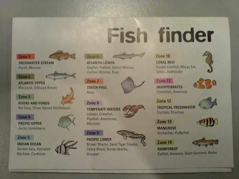 How to read a fish finder