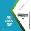 best fishing rods